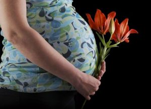 Pregnant lady holding a red/orange flower on a black background